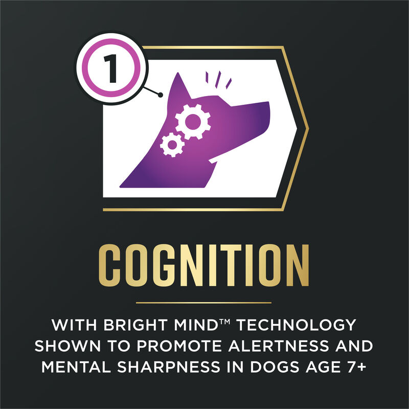 Pro Plan, AdvantEDGE - Senior Support Chicken & Rice - Dry Dog Food image number null