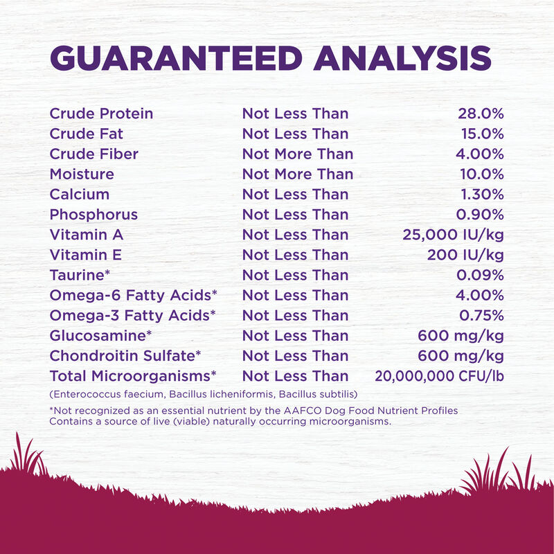 Wellness, Complete Health Small Breed, Turkey & Oatmeal - Dry Dog Food image number null