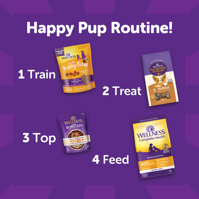 Wellness, Just for Puppy, Chkn&Carrots Crunchy Treats - 6 oz - Dog Treat image number null