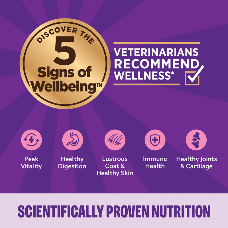 Wellness, Canned Cat Food, Complete Health, Beef & Chicken - Wet Cat Food image number null