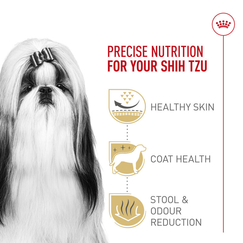 Royal Canin, Breed Health Nutrition Shih Tzu Adult - Dry Dog Food image number null