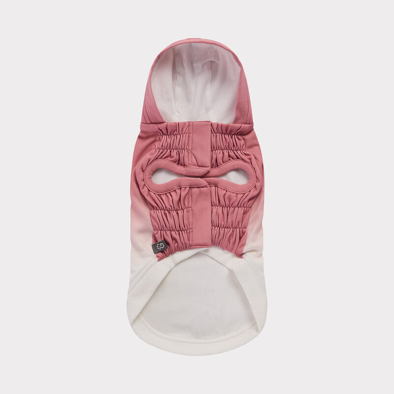 GF Pet, Good Vibes Hoodie - Pink image number null