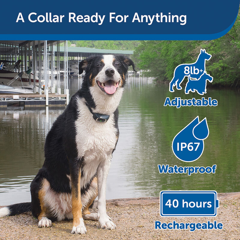 PetSafe, Remote Trainer 15 Levels 900 Yard image number null