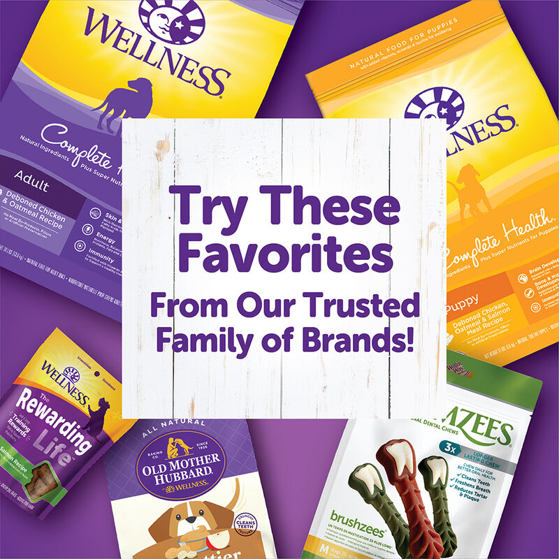 Wellness, Wellbites, Turkey & Duck Soft Dog Treats - 6 oz - Dog Treat image number null