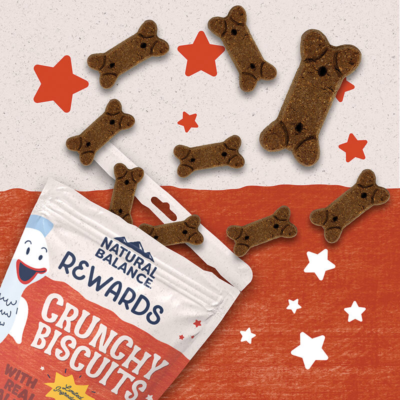 Natural Balance, Limited Ingredient Dog Treats Small Breed, Sweet Potato & Fish - Dog Biscuit image number null
