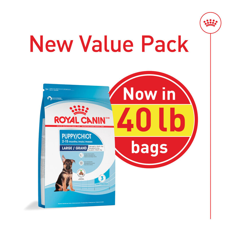 Royal Canin, Puppy, Large Size Health Nutrition - Dry Dog Food image number null