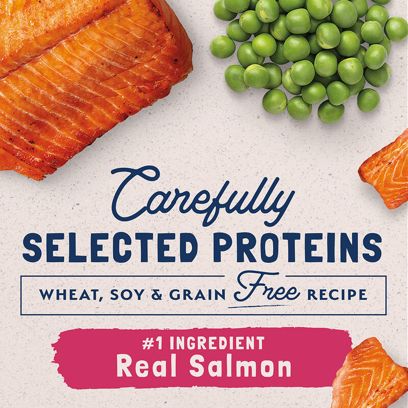 Natural Balance, Cat, Limited Ingredient Diet, Green Peas & Salmon - Dry Cat Food image number null