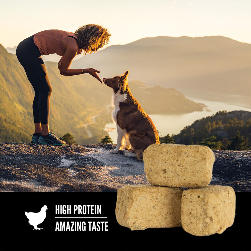 Orijen, Freeze Dried Dog Treat - Original - Freeze Dried Dog Treat image number null
