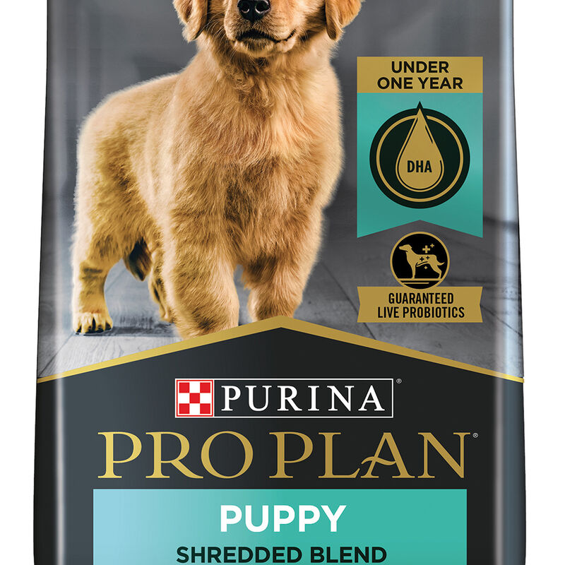 Purina Pro Plan Development Under One Year Puppy, Shredded Blend, Chicken & Rice Dry Dog Food Formul image number null