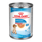 Royal Canin, Size Health Nutrition Medium Puppy Chunks in Gravy 12/13oz - Wet Dog Food image number null