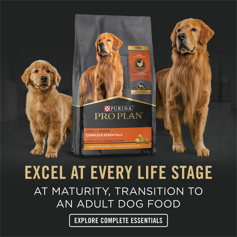 Pro Plan, Can, Puppy - Development-Chicken & Rice Pate-368 g - Wet Dog Food image number null