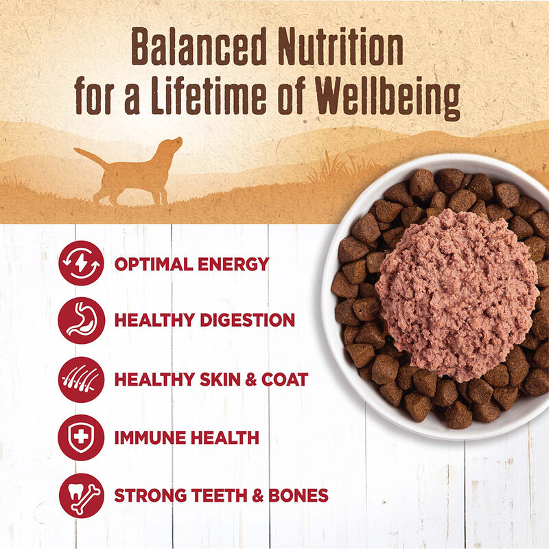 Wellness, Canned Dog Food, Mixers & Toppers, 95% Beef - 13 oz - Wet Dog Food image number null