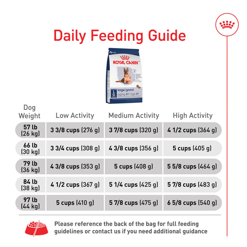 Royal Canin, Size Health Nutrition Large Aging 8+ - Dry Dog Food image number null