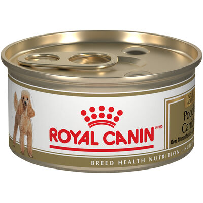 Royal Canin, Breed Health Nutrition Poodle Adult - Dry Dog Food