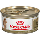 Royal Canin, Breed Health Nutrition Poodle Adult - Dry Dog Food image number null