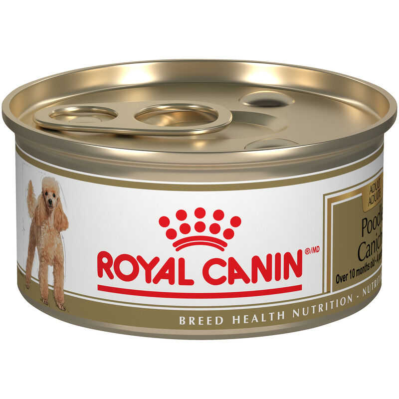 Royal Canin, Breed Health Nutrition Poodle Adult - Dry Dog Food image number null