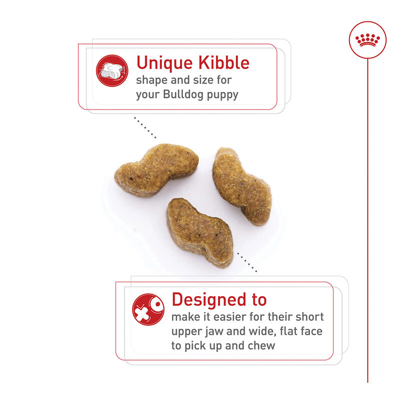 Royal Canin, Breed Health Nutrition Bulldog Puppy - Dry Dog Food image number null
