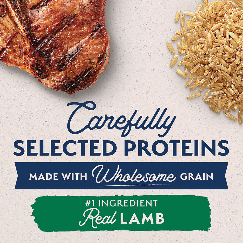 Natural Balance, Adult Large Breed - LID - Lamb & Rice - Dry Dog Food image number null