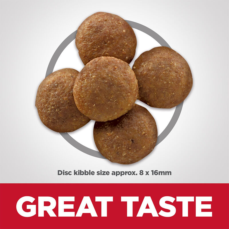 Science Diet, Adult LB - Perfect Digestion - Chicken - 9.98 kg - Dry Dog Food image number null