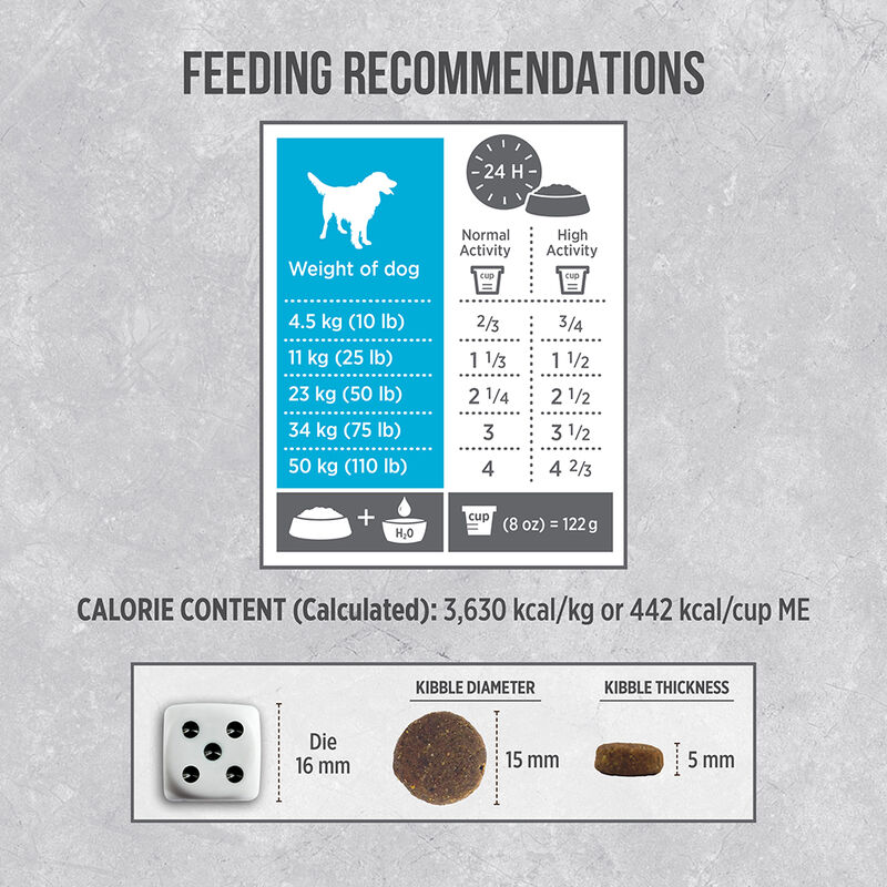 Nutrience, Infusion Healthy Adult, Fish - Dry Dog Food image number null