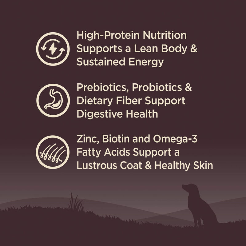 Wellness, Core, Grain Free Original - Dry Dog Food image number null