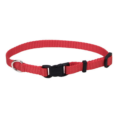 Adjustable Dog Collar with Plastic Buckle, Red, Extra Small - 3/8" x 8"-12"