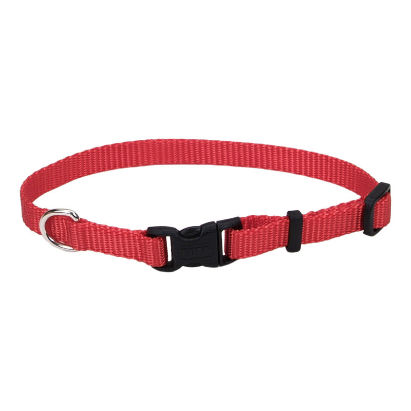 Adjustable Dog Collar with Plastic Buckle, Red, Extra Small - 3/8" x 8"-12" image number null