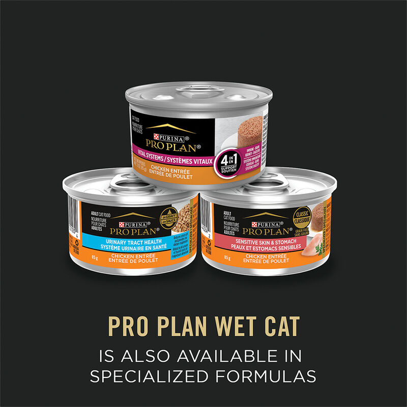 Pro Plan, Grain Free - Sensitive Skin & Stomach Artic Charr 85g - Wet Cat Food image number null