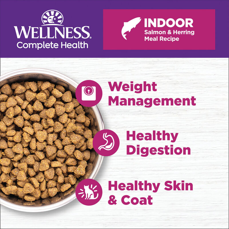 Wellness, Feline Adult - Grain Free -Complete Health - Indoor - Salmon & Herring Meal Recipe - Dry C image number null