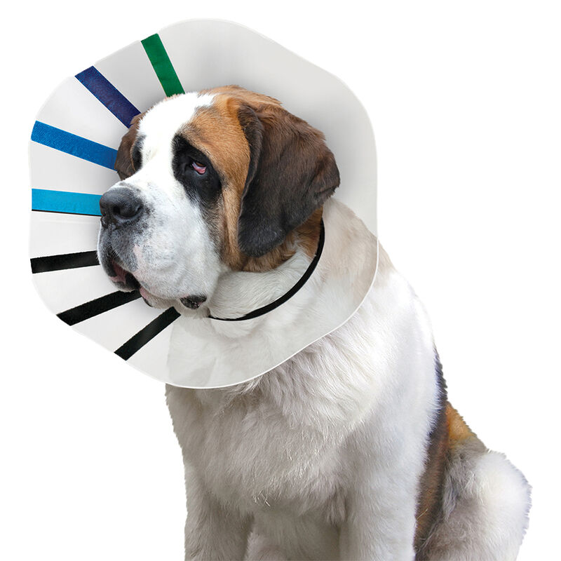 KONG, Elizabethan Collar - Dog First Aid image number null