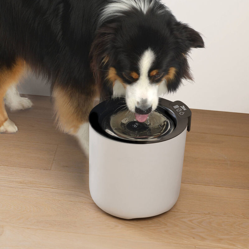 Zeus Oasis Plus Smart Fountain -  6 L image number null