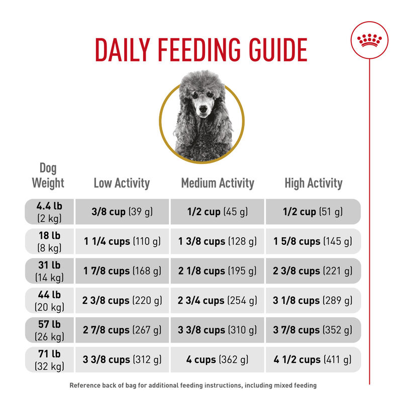 Royal Canin, Breed Health Nutrition Poodle Adult - Dry Dog Food image number null