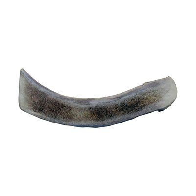 Antler Split