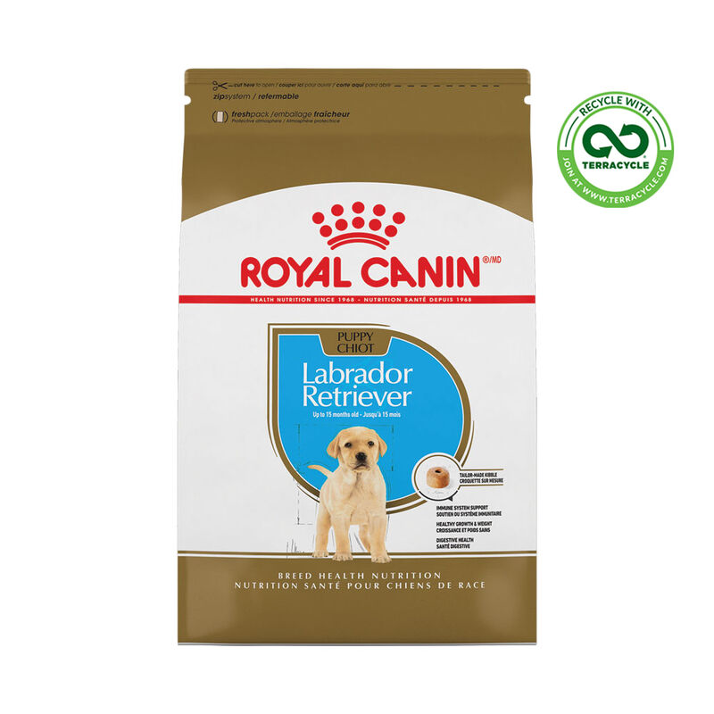 Royal Canin, Breed Health Nutrition Labrador Retriever Puppy - Dry Dog Food image number null
