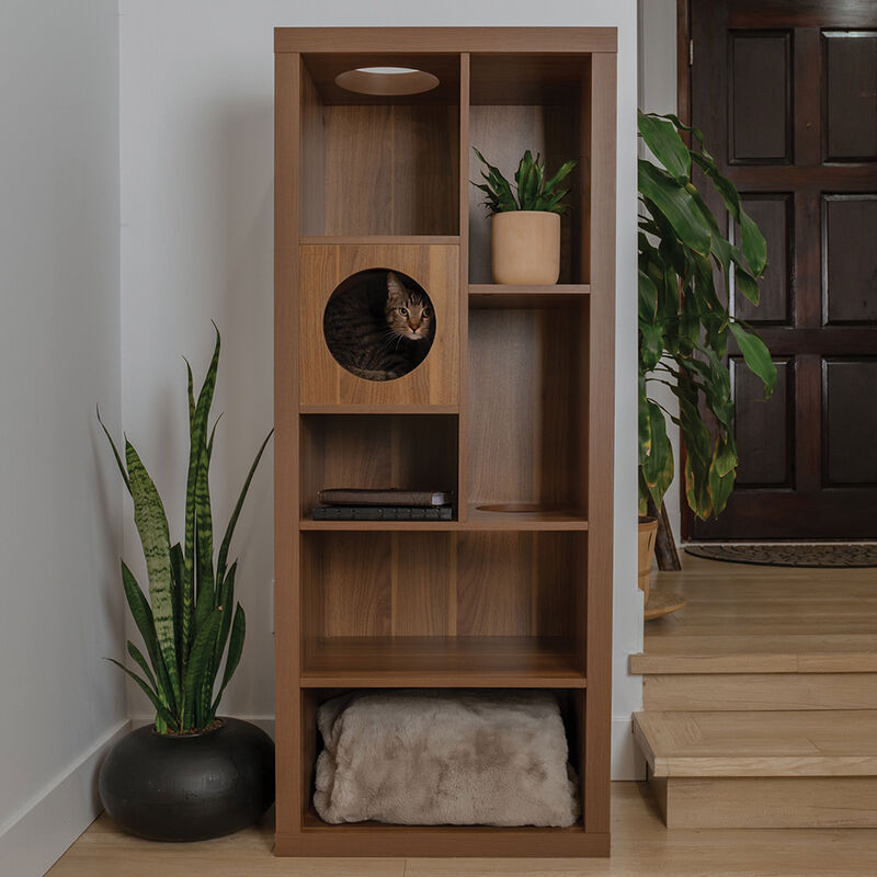 4 Cats & Dogs Home Furnishing Inc., Cliff Jr Shelf - Walnut image number null
