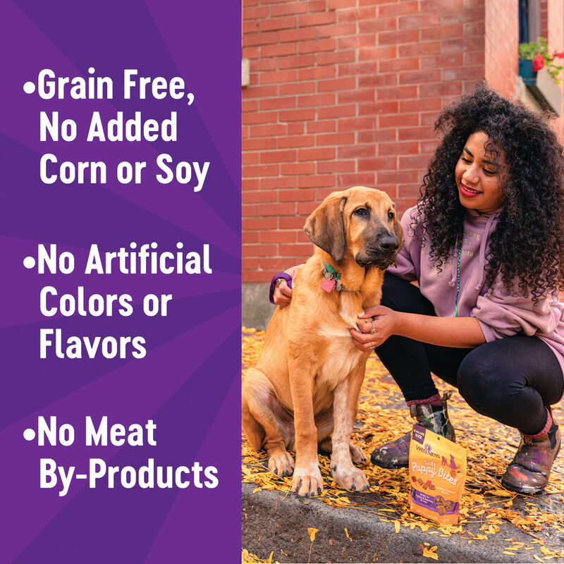 Wellness, Puppy Soft Bites - Lamb & Salmon - 227 g - Dog Treat image number null