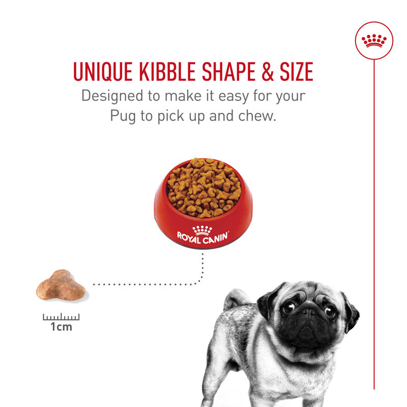 Royal Canin, Dry Dog Food, Pug - Dry Dog Food image number null