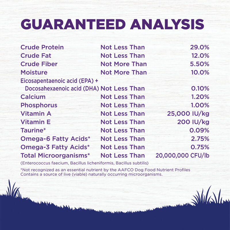 Wellness, Puppy Large Breed - Complete Health - Chicken, Salmon & Brown Rice - 13.6kg - Dry Dog Food image number null