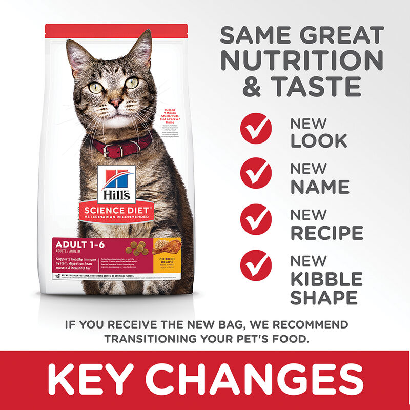 Science Diet, Adult Chicken Recipe Dry Cat Food - Dry Cat Food image number null