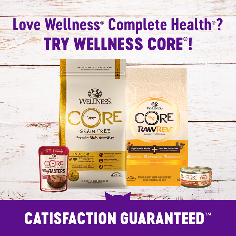 Wellness, Feline Adult - Grain Free -Complete Health - Indoor - Salmon & Herring Meal Recipe - Dry C image number null