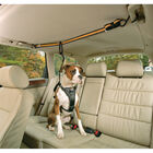 Kurgo, Leash & Zip Line Combo image number null