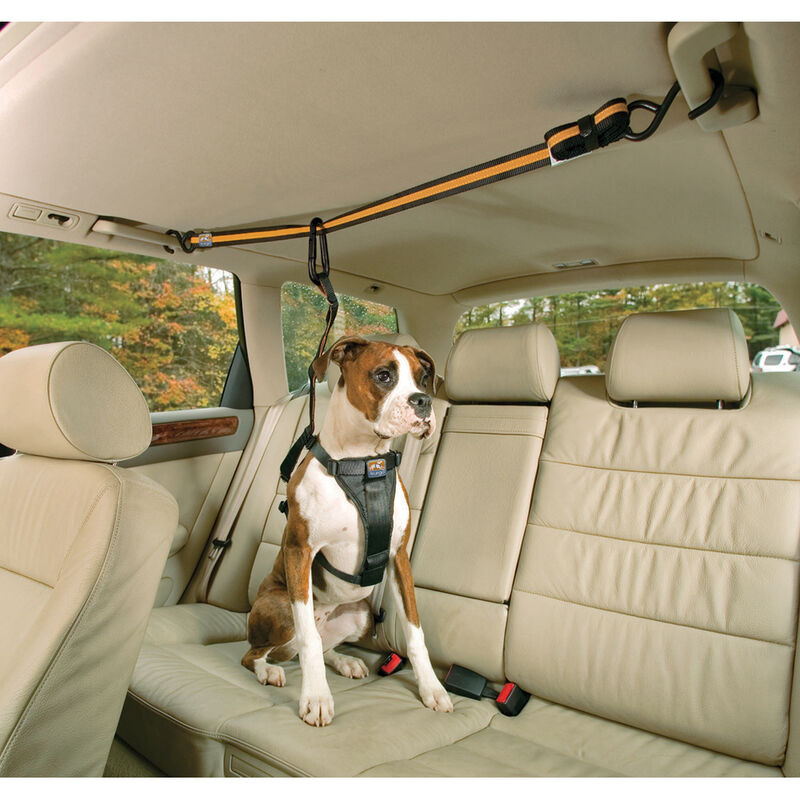 Kurgo, Leash & Zip Line Combo image number null