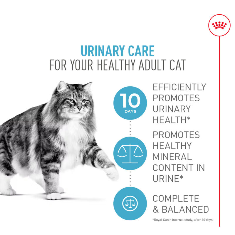 Royal Canin, Feline Care Nutrition - Urinary Care - Dry Cat Food image number null