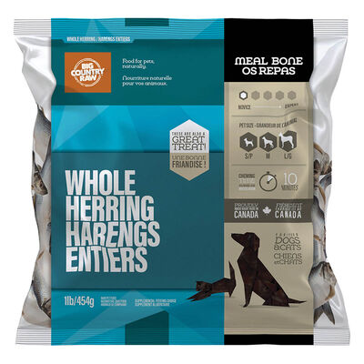 Big Country Raw, Herring - 1 lb - Frozen Dog Food