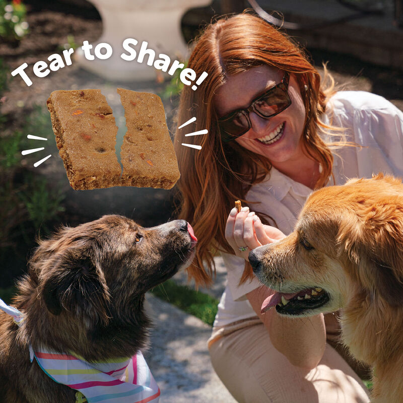 Wellness, Wellbites, Lamb & Salmon Soft Dog Treats - 6 oz - Dog Treat image number null