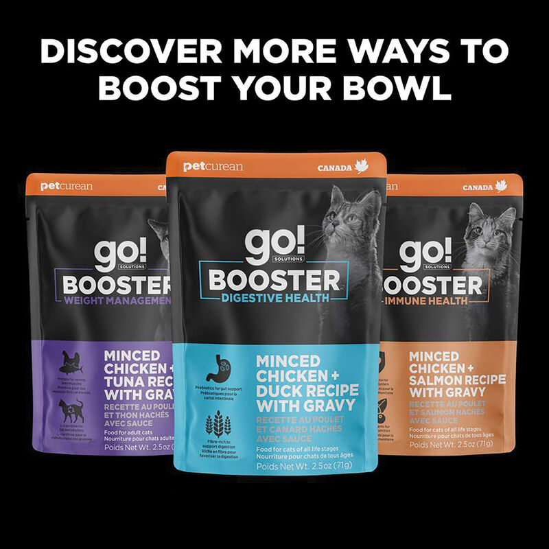 GO! SOLUTIONS,  BOOSTER Brain Health Minced Chicken + Salmon with gravy - 71 g - Wet Cat Food image number null