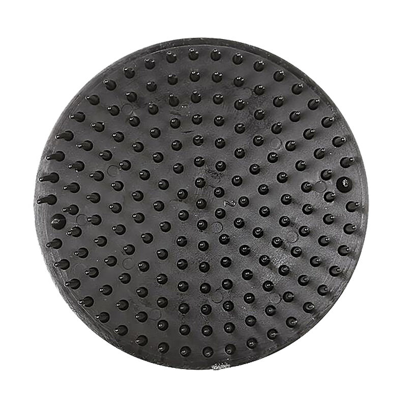 Bass, Nylon Shampoo Brush - Black - Small image number null