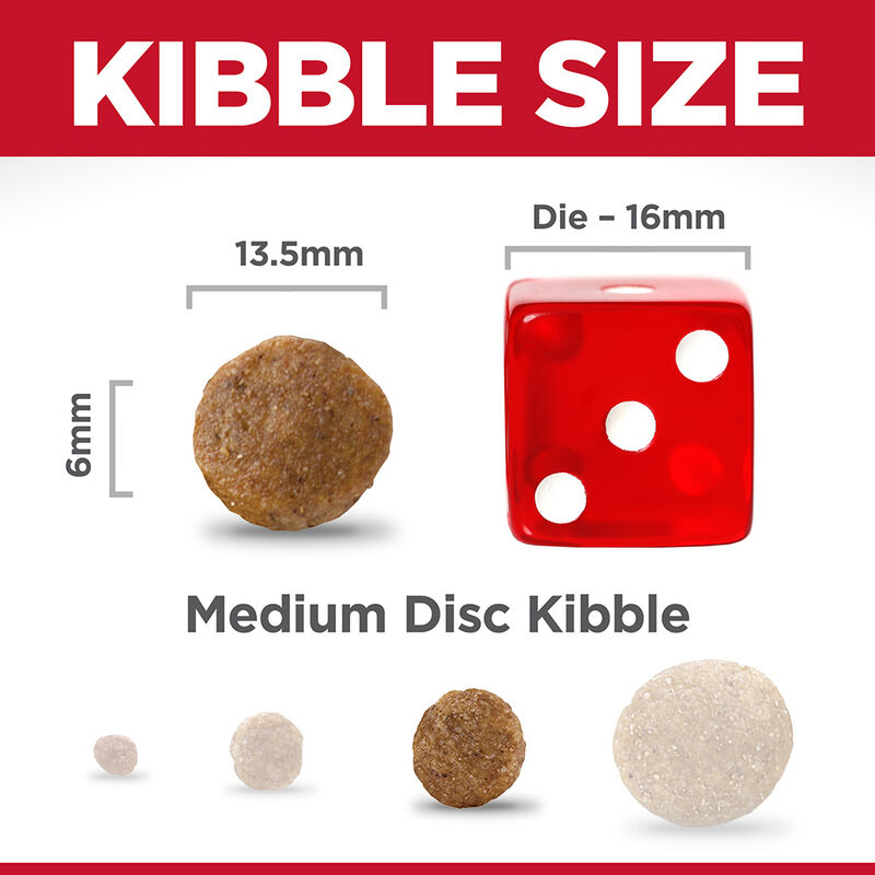 Science Diet, Adult Sensitive Stomach & Skin Large Breed Chicken Recipe Dry Dog Food - Dry Dog Food image number null