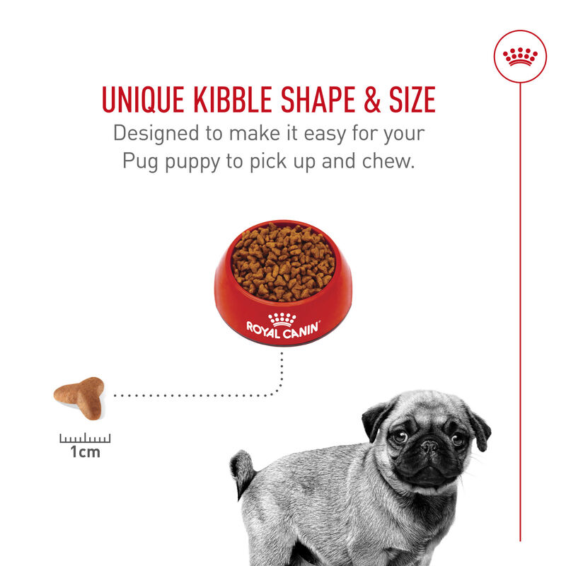 Royal Canin, Breed Health Nutrition Pug Puppy 2.5LBS - Dry Dog Food image number null