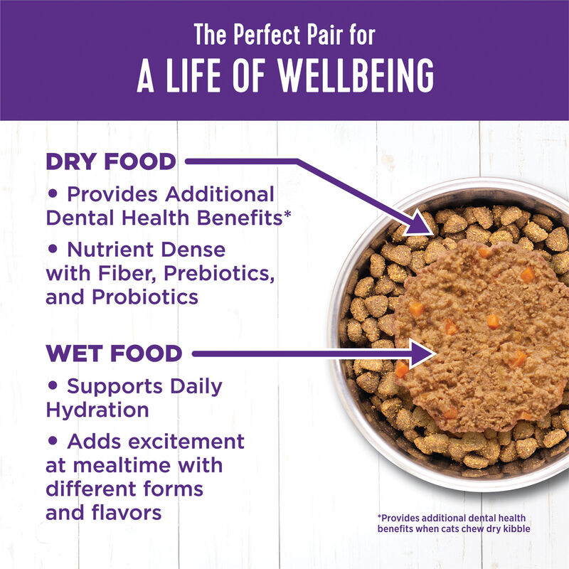 Wellness, Canned Cat Food, Complete Health, Kitten - 3 oz - Wet Cat Food image number null